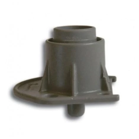 Isabella Voet Met Punt IXL En CarbonX 1 Isabella Voet Met Punt IXL En CarbonX