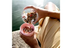 Mepal Lunchpot Ellipse Vibe Roze 11 Mepal Lunchpot Ellipse Vibe Roze -Kampeer Plezier 90136 mepal lunchpot ellipse vibe